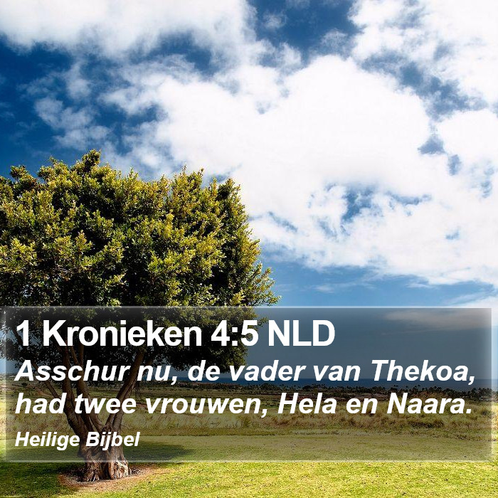 1 Kronieken 4:5 NLD Bible Study