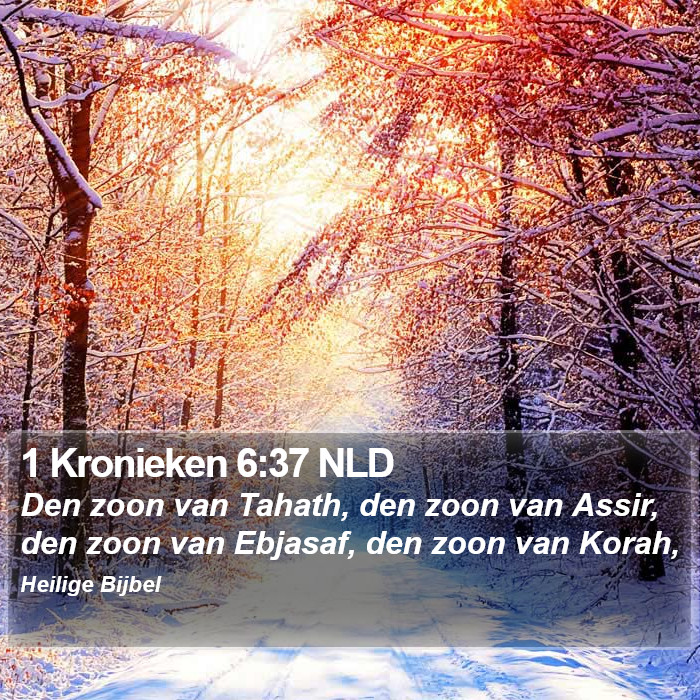 1 Kronieken 6:37 NLD Bible Study