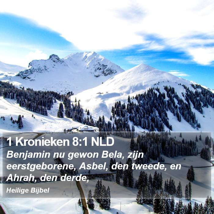 1 Kronieken 8:1 NLD Bible Study