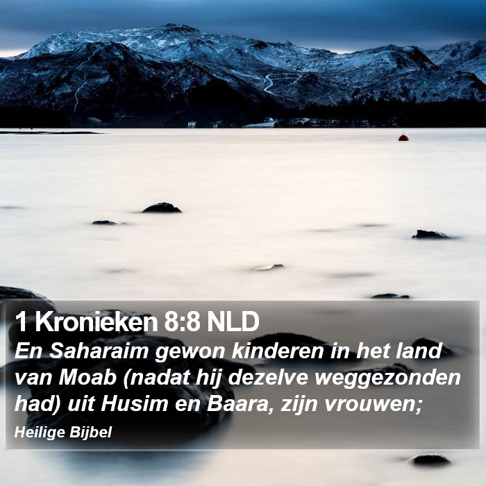 1 Kronieken 8:8 NLD Bible Study