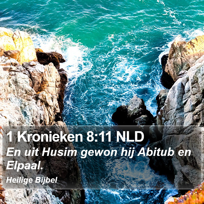 1 Kronieken 8:11 NLD Bible Study