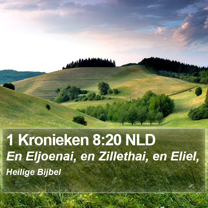 1 Kronieken 8:20 NLD Bible Study