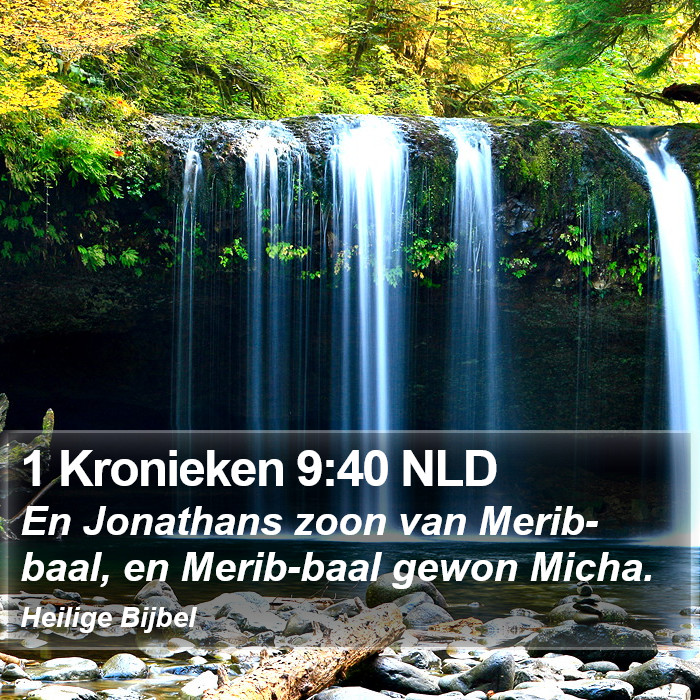 1 Kronieken 9:40 NLD Bible Study