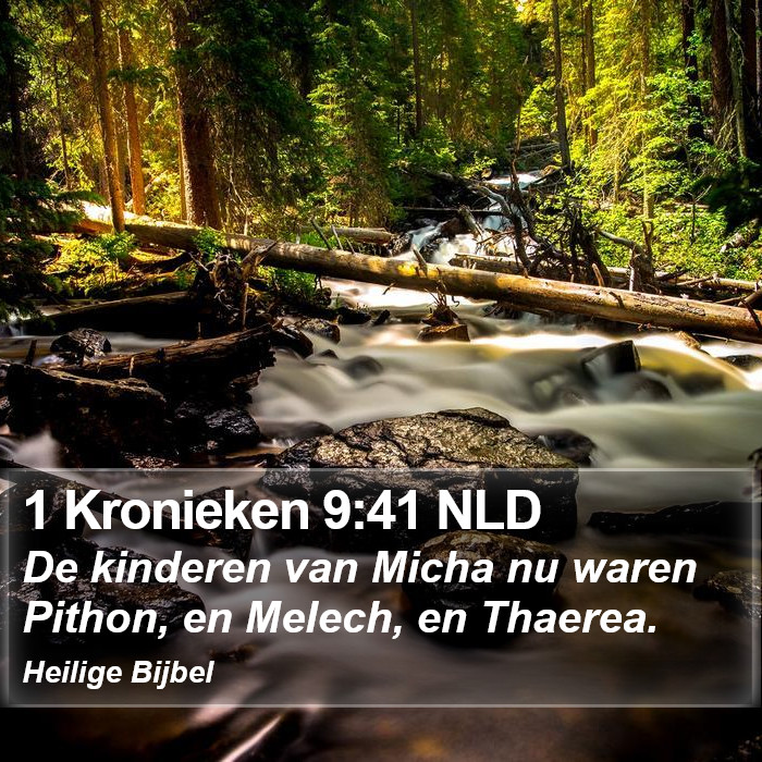 1 Kronieken 9:41 NLD Bible Study