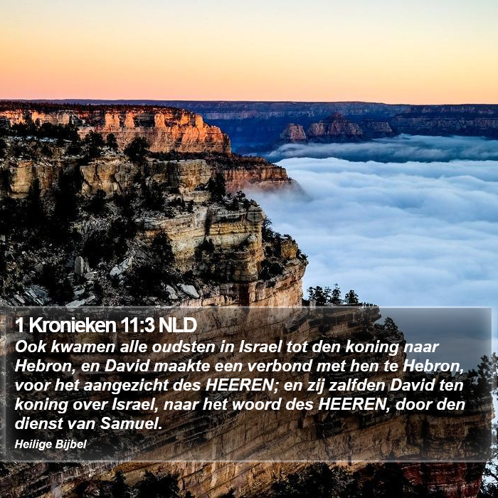 1 Kronieken 11:3 NLD Bible Study
