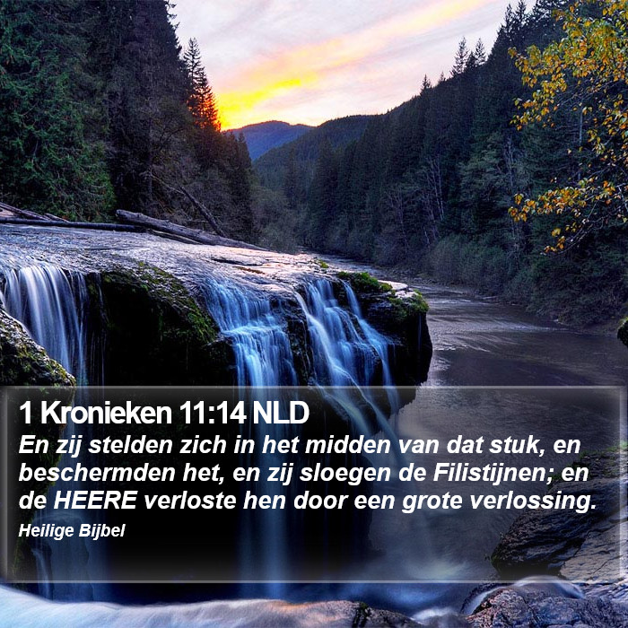 1 Kronieken 11:14 NLD Bible Study