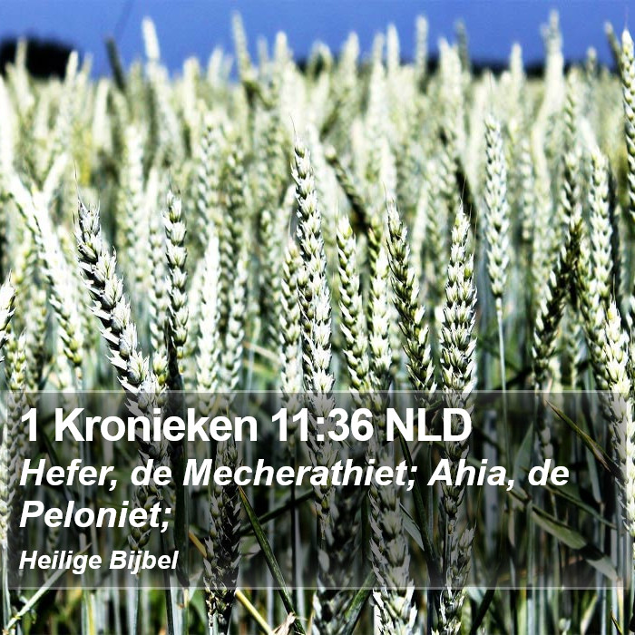 1 Kronieken 11:36 NLD Bible Study