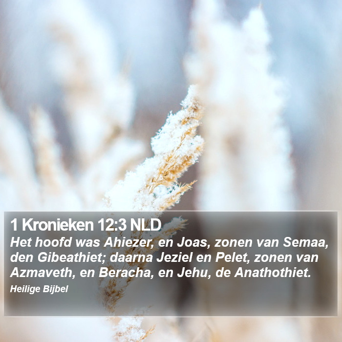 1 Kronieken 12:3 NLD Bible Study