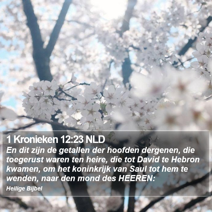 1 Kronieken 12:23 NLD Bible Study