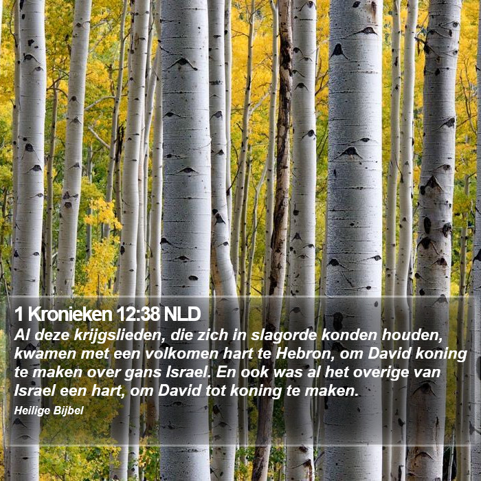 1 Kronieken 12:38 NLD Bible Study