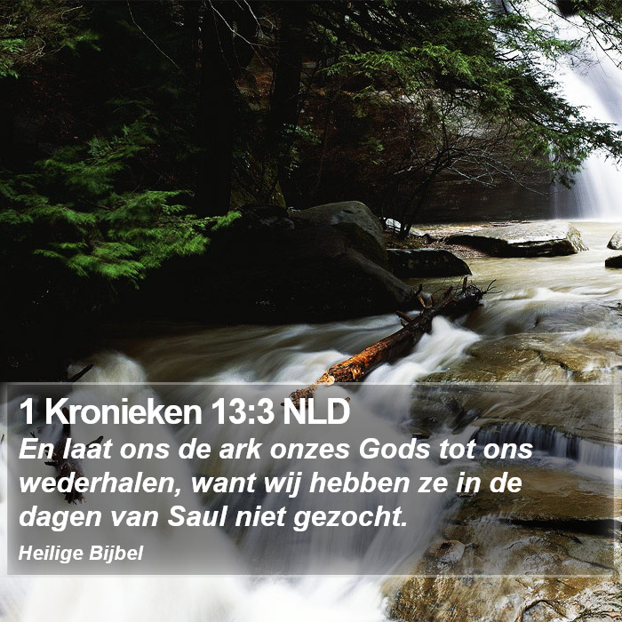 1 Kronieken 13:3 NLD Bible Study