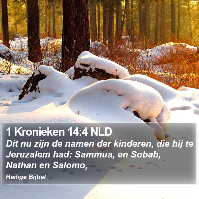 1 Kronieken 14:4 NLD Bible Study