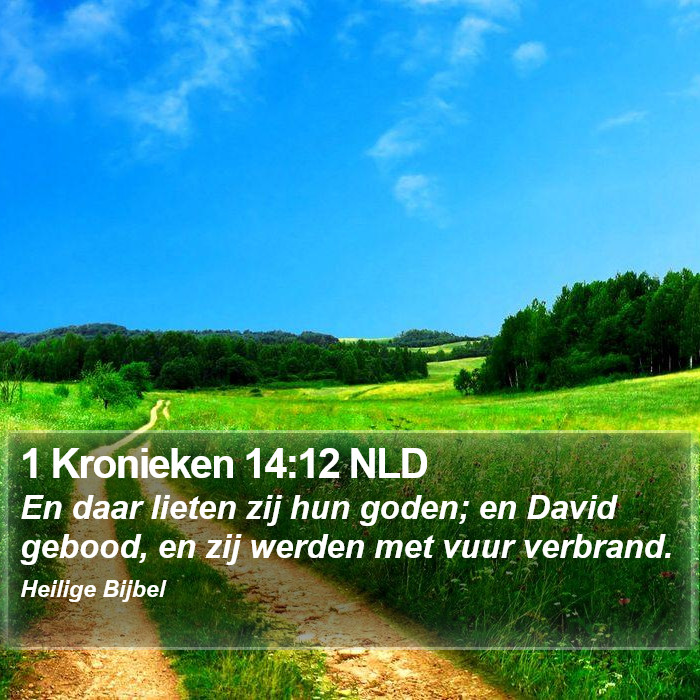 1 Kronieken 14:12 NLD Bible Study