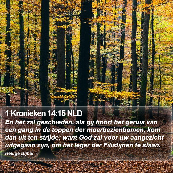 1 Kronieken 14:15 NLD Bible Study