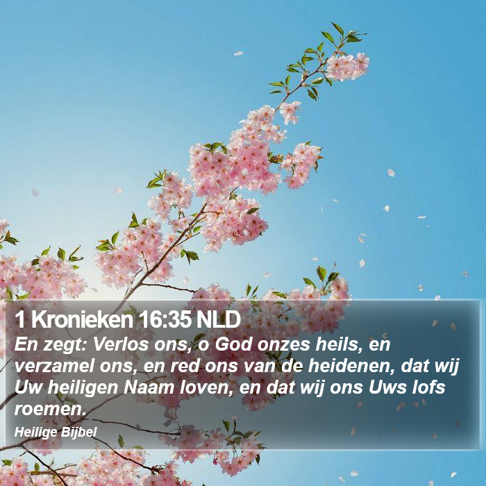 1 Kronieken 16:35 NLD Bible Study