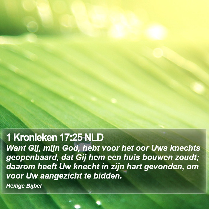 1 Kronieken 17:25 NLD Bible Study