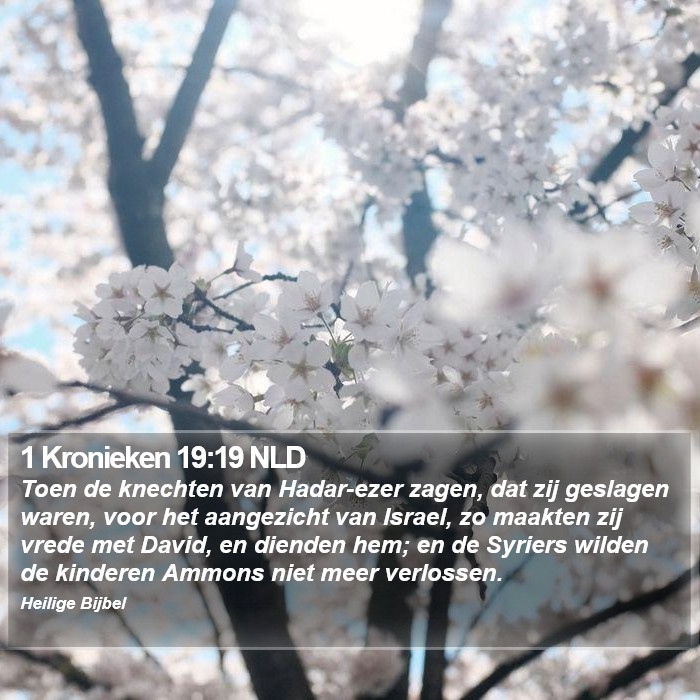 1 Kronieken 19:19 NLD Bible Study