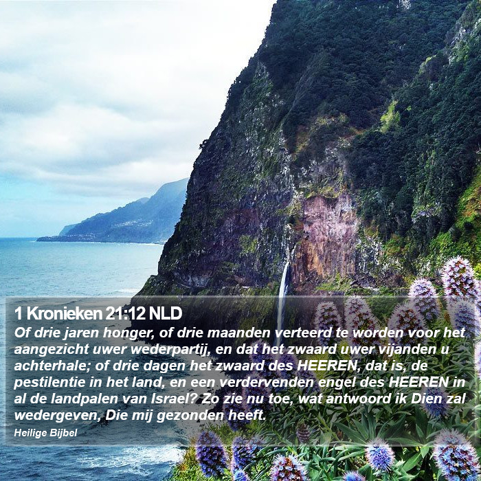 1 Kronieken 21:12 NLD Bible Study