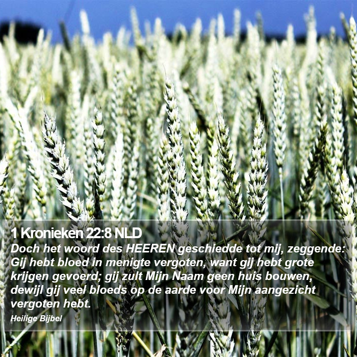1 Kronieken 22:8 NLD Bible Study