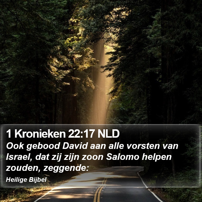 1 Kronieken 22:17 NLD Bible Study