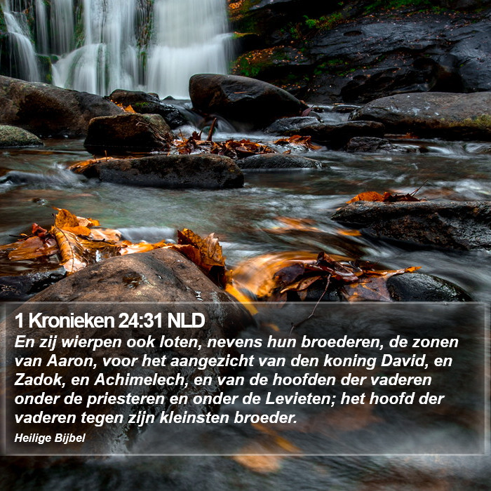1 Kronieken 24:31 NLD Bible Study