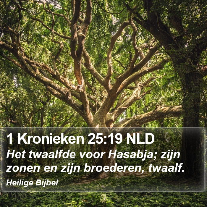 1 Kronieken 25:19 NLD Bible Study