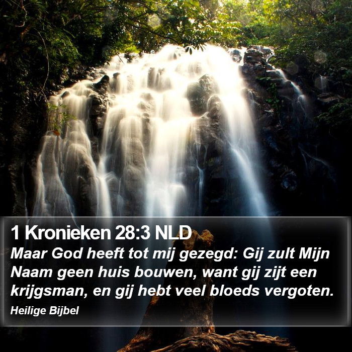 1 Kronieken 28:3 NLD Bible Study