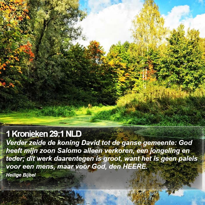 1 Kronieken 29:1 NLD Bible Study