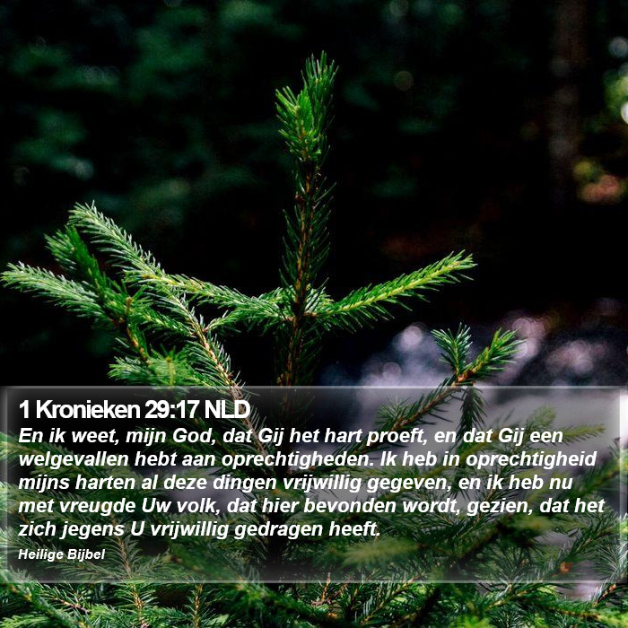 1 Kronieken 29:17 NLD Bible Study