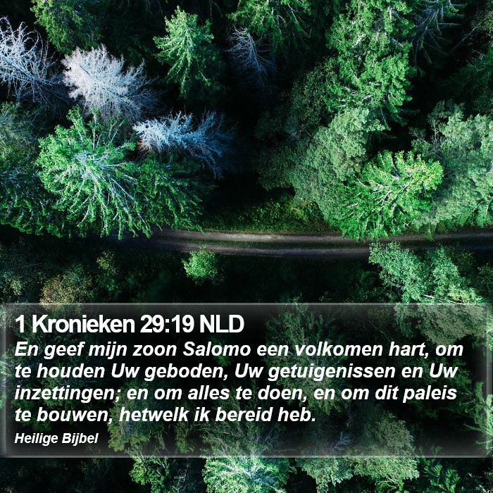 1 Kronieken 29:19 NLD Bible Study