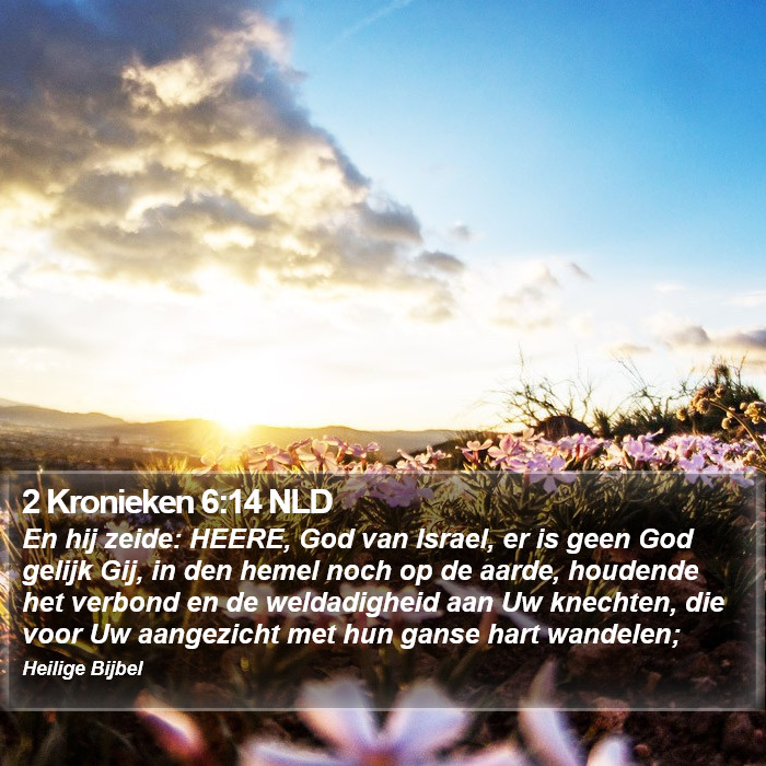 2 Kronieken 6:14 NLD Bible Study