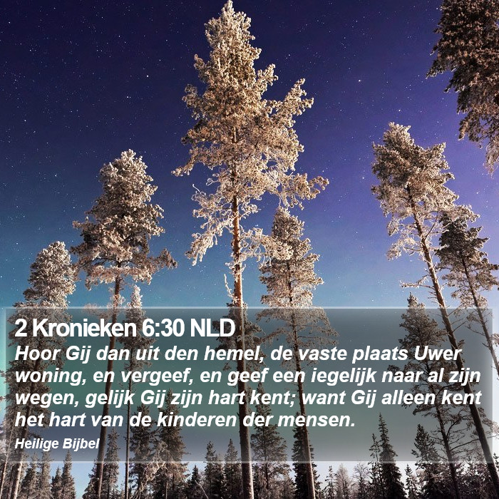 2 Kronieken 6:30 NLD Bible Study