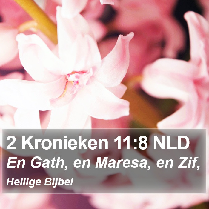 2 Kronieken 11:8 NLD Bible Study