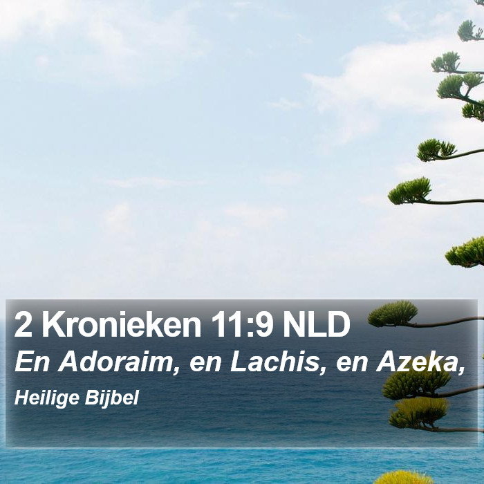 2 Kronieken 11:9 NLD Bible Study