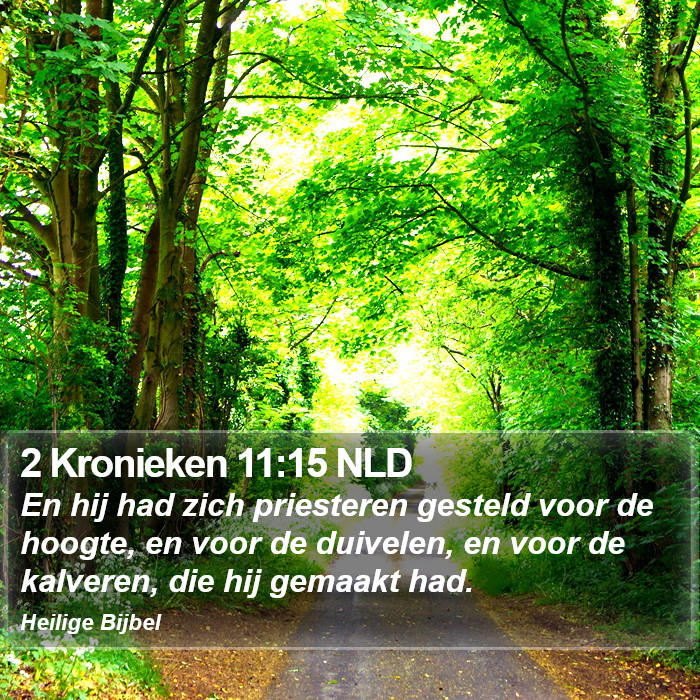 2 Kronieken 11:15 NLD Bible Study