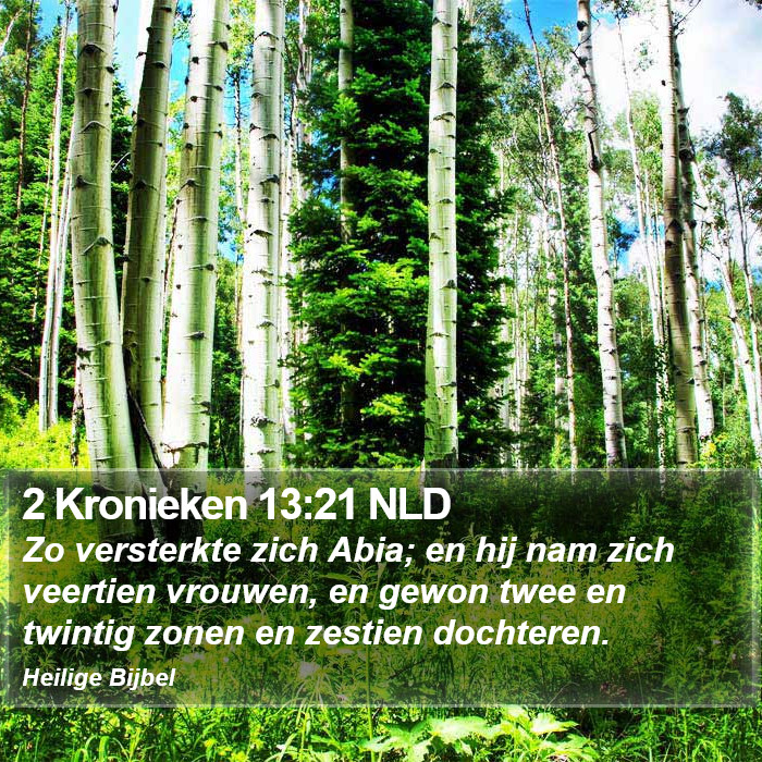 2 Kronieken 13:21 NLD Bible Study