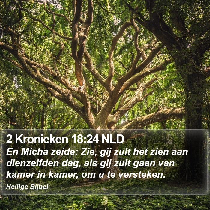 2 Kronieken 18:24 NLD Bible Study