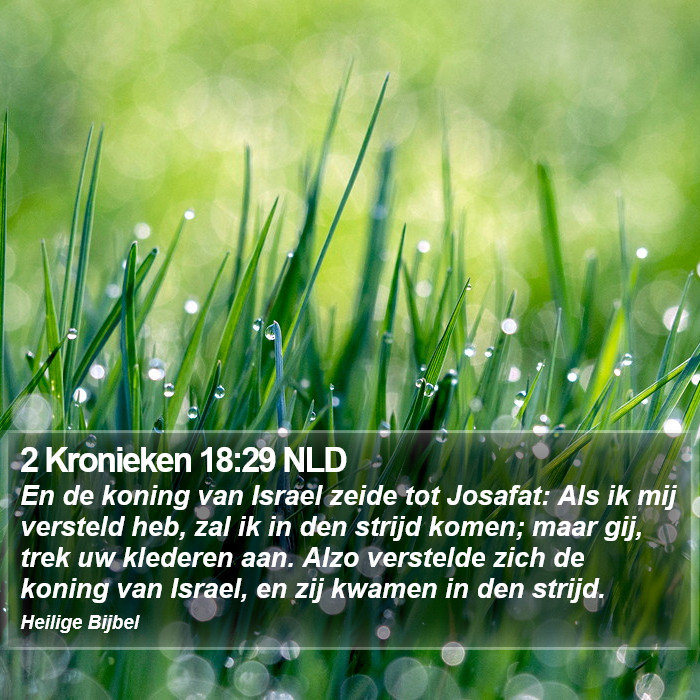 2 Kronieken 18:29 NLD Bible Study