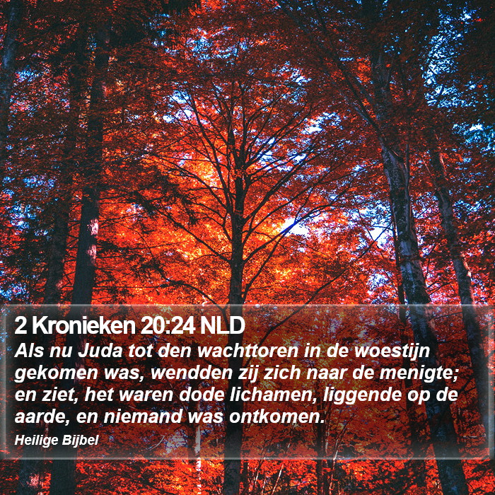 2 Kronieken 20:24 NLD Bible Study