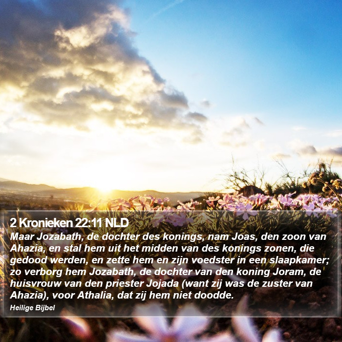2 Kronieken 22:11 NLD Bible Study