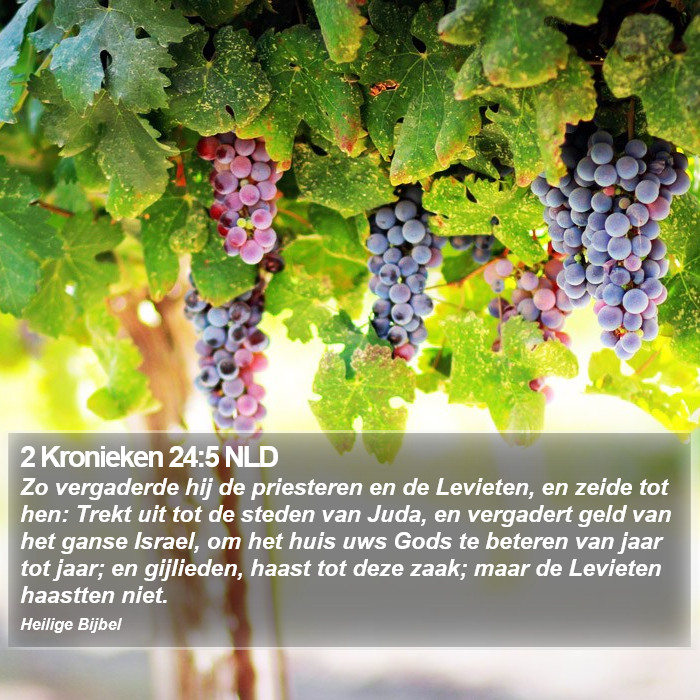 2 Kronieken 24:5 NLD Bible Study