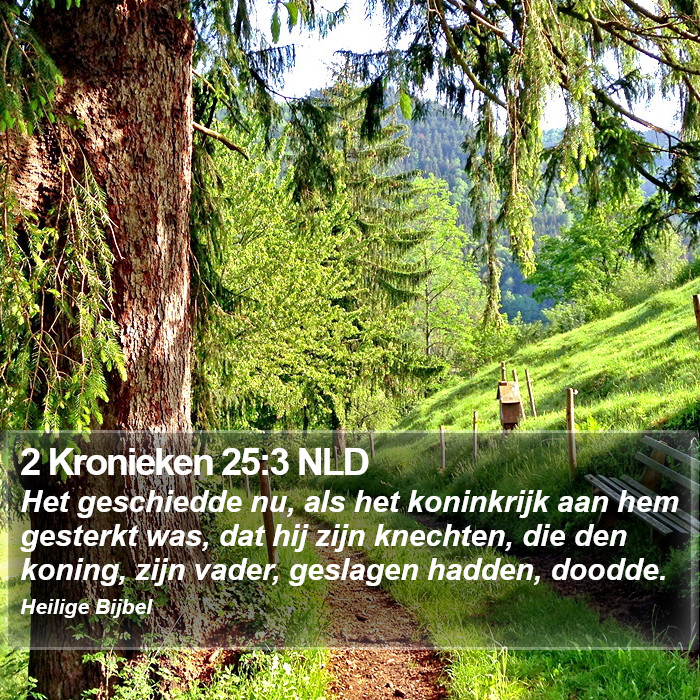 2 Kronieken 25:3 NLD Bible Study