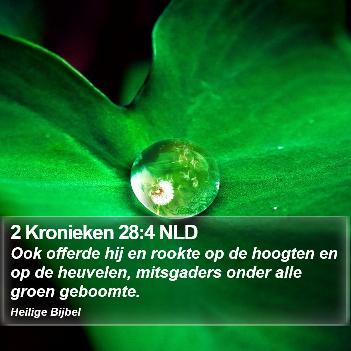 2 Kronieken 28:4 NLD Bible Study