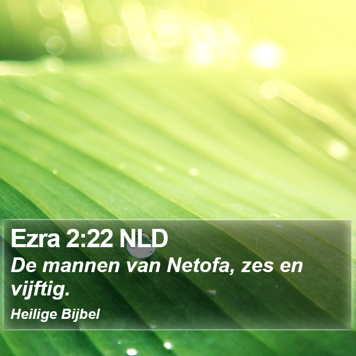 Ezra 2:22 NLD Bible Study