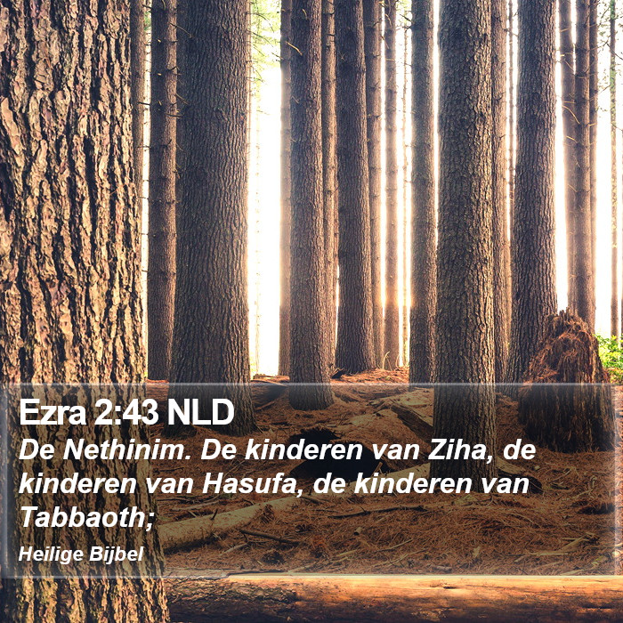 Ezra 2:43 NLD Bible Study