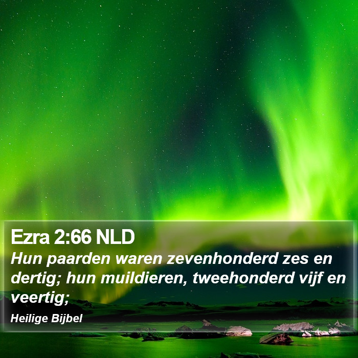 Ezra 2:66 NLD Bible Study