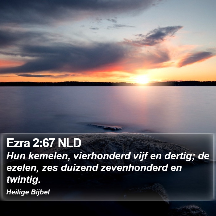 Ezra 2:67 NLD Bible Study