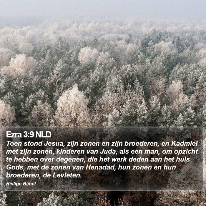 Ezra 3:9 NLD Bible Study