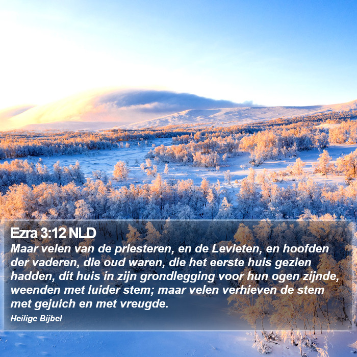 Ezra 3:12 NLD Bible Study