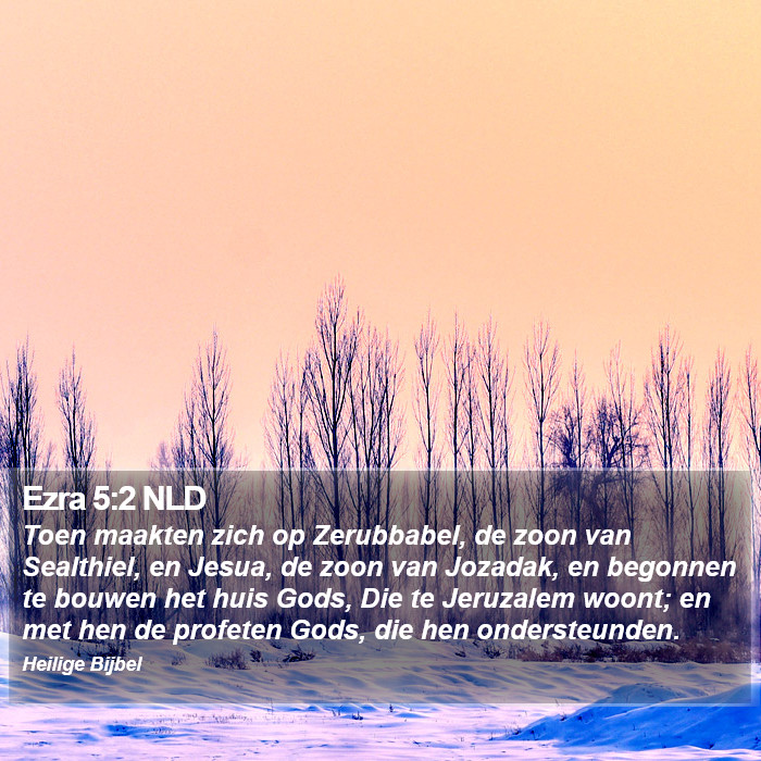Ezra 5:2 NLD Bible Study